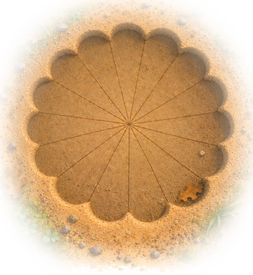 A large scalloped print pressed into sandy ground, like a flower drawn by something very heavy and very careful.